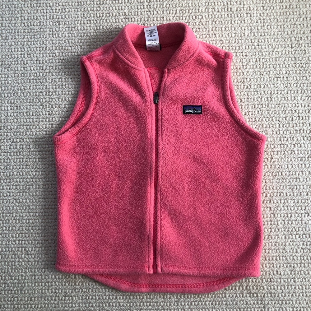 Patagonia Synchilla Fleece Vest